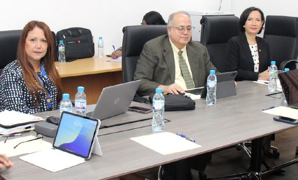 Funciones del IMELCF