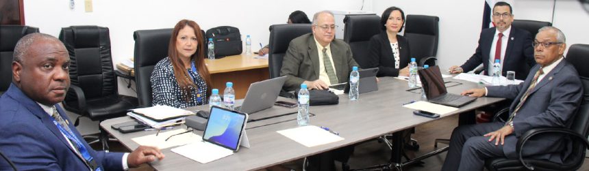 Funciones del IMELCF