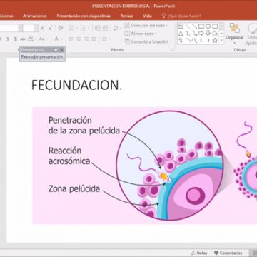 Curso virtual “Asistente de Necropsia”