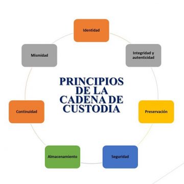 Programa de capacitación para la Sección de Accidentología Forense