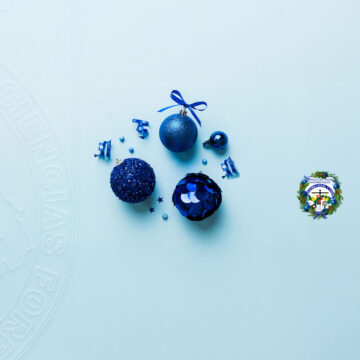 ¡Feliz Navidad y próspero Año Nuevo! ¡Feliz Navidad y próspero Año Nuevo!