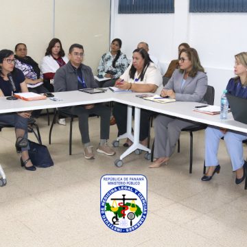 IMELCF se reúne con el PNUD