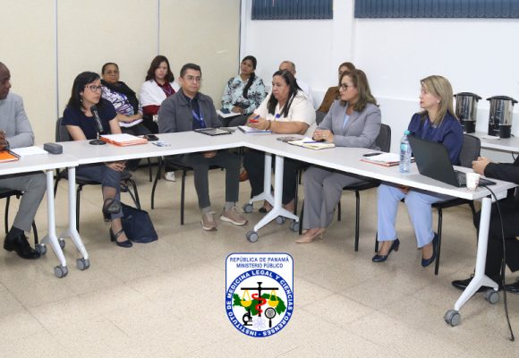 IMELCF se reúne con el PNUD