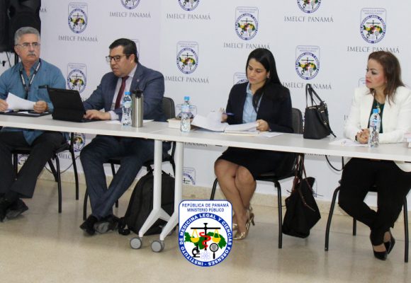 Autoridades judiciales y peritos delIMELCF analizan figura de “testigo experto”