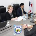 Cuarta reunión extraordinaria de la Junta Directiva del IMELCF